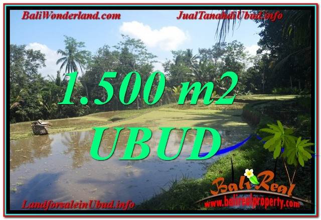 JUAL TANAH MURAH di UBUD BALI 1,500 m2 View Sawah