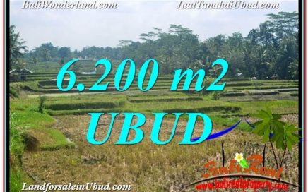 TANAH di UBUD DIJUAL MURAH 62 are di Ubud Payangan