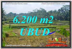 JUAL TANAH di UBUD BALI 6,200 m2 View Sawah dan Gunung Batur