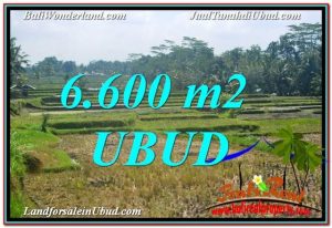 TANAH di UBUD DIJUAL MURAH 64 Are di Ubud Payangan