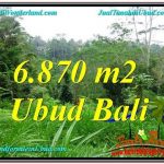 DIJUAL TANAH MURAH di UBUD TJUB602