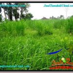 DIJUAL TANAH MURAH di UBUD TJUB602