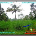 DIJUAL TANAH MURAH di UBUD TJUB602