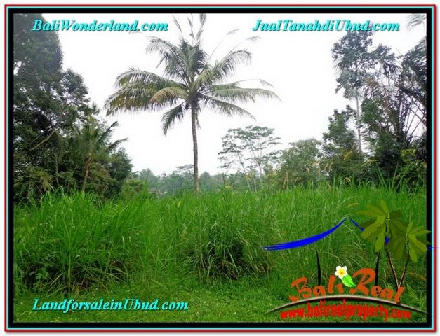 DIJUAL TANAH MURAH di UBUD TJUB602