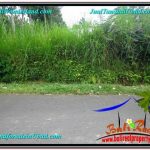 DIJUAL TANAH MURAH di UBUD TJUB602