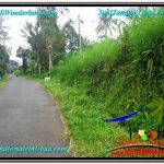 DIJUAL TANAH MURAH di UBUD TJUB602