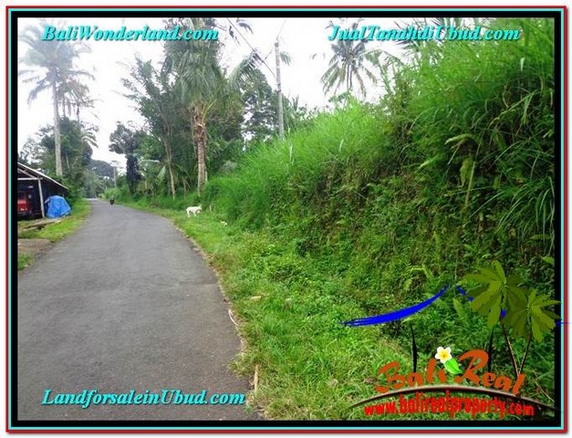 DIJUAL TANAH MURAH di UBUD TJUB602