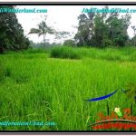 DIJUAL TANAH MURAH di UBUD TJUB602