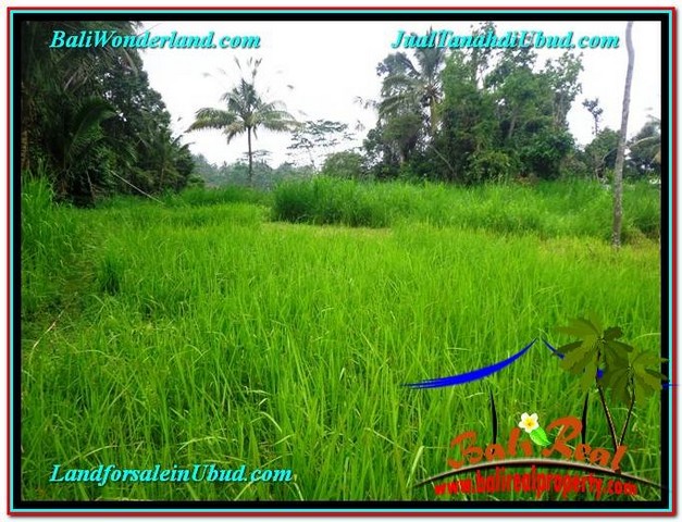 DIJUAL TANAH MURAH di UBUD TJUB602