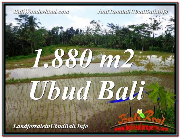 TANAH MURAH DIJUAL di UBUD BALI Untuk INVESTASI TJUB613