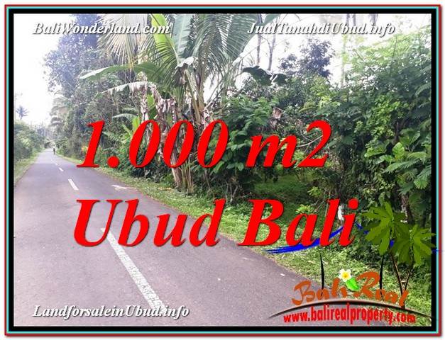 TANAH di UBUD BALI DIJUAL MURAH 10 Are View Kebun dan Pangkung