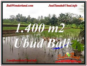 INVESTASI PROPERTY, TANAH di UBUD DIJUAL MURAH TJUB615