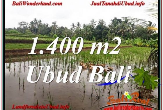 INVESTASI PROPERTY, TANAH di UBUD DIJUAL MURAH TJUB615