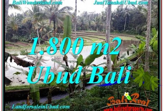 TANAH di UBUD DIJUAL TJUB616