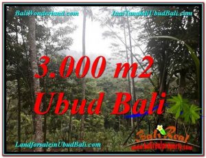 JUAL MURAH TANAH di UBUD BALI 3,000 m2 View Tebing 