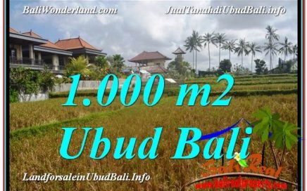 TANAH MURAH di UBUD BALI 10 Are View Sawah lingkungan Villa