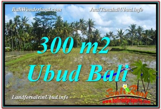 JUAL TANAH di UBUD BALI 3 Are di Ubud Pejeng