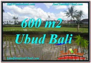 TANAH MURAH JUAL UBUD 6 Are View sawah