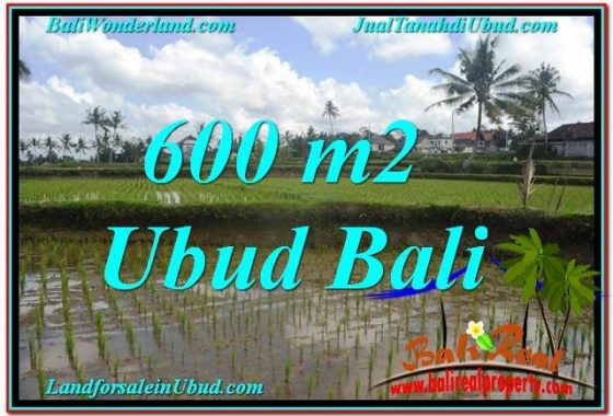 TANAH MURAH JUAL UBUD 6 Are View sawah