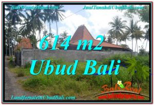 INVESTASI PROPERTY, JUAL TANAH MURAH di UBUD BALI TJUB622