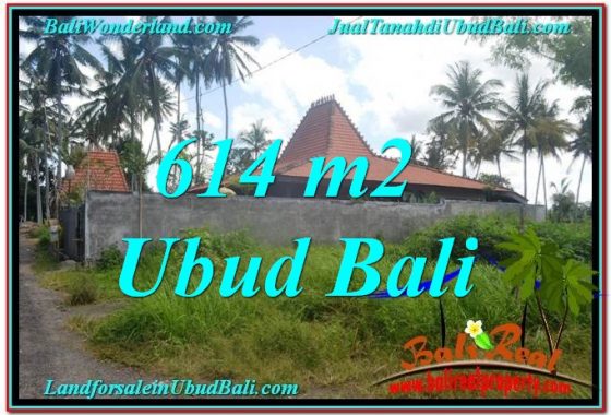 INVESTASI PROPERTY, JUAL TANAH MURAH di UBUD BALI TJUB622