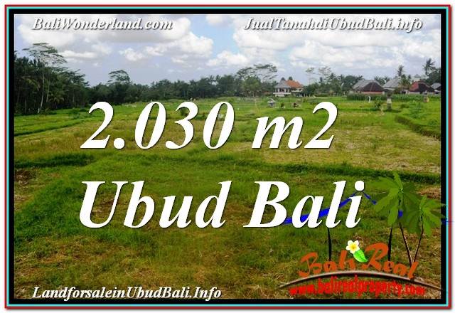 JUAL TANAH MURAH di UBUD TJUB623