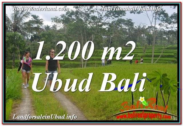 TANAH di UBUD DIJUAL 1,200 m2 di Ubud Tegalalang