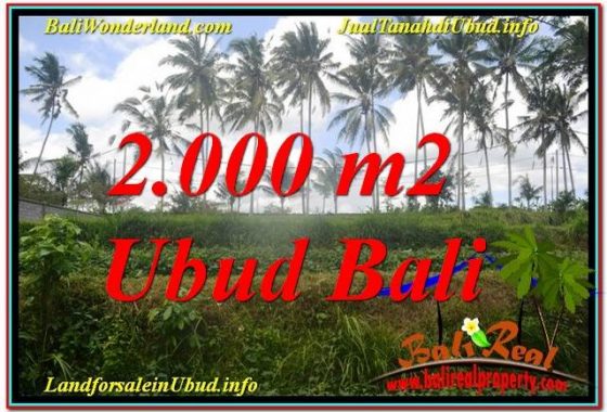 TANAH MURAH DIJUAL di UBUD BALI 2,000 m2 di Ubud Pejeng