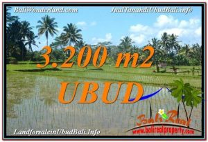 JUAL TANAH di UBUD 32 Are View Sawah dan Gunung Batur