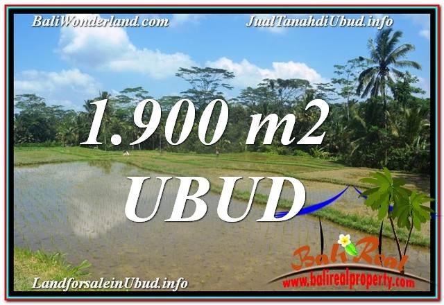 INVESTASI PROPERTI, DIJUAL MURAH TANAH di UBUD BALI TJUB629