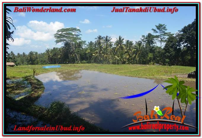 INVESTASI PROPERTY, JUAL TANAH MURAH di UBUD BALI TJUB630