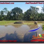 INVESTASI PROPERTY, JUAL TANAH MURAH di UBUD BALI TJUB630