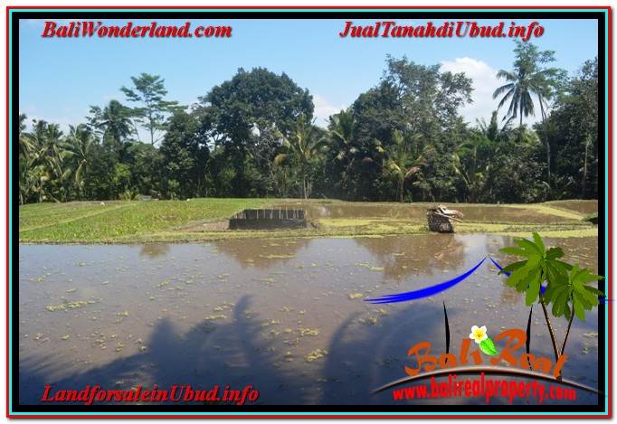 INVESTASI PROPERTY, JUAL TANAH MURAH di UBUD BALI TJUB630