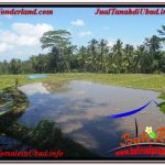 INVESTASI PROPERTY, JUAL TANAH MURAH di UBUD BALI TJUB630