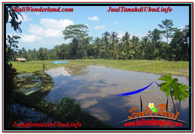 INVESTASI PROPERTY, JUAL TANAH MURAH di UBUD BALI TJUB630