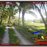 INVESTASI PROPERTY, JUAL TANAH MURAH di UBUD BALI TJUB630