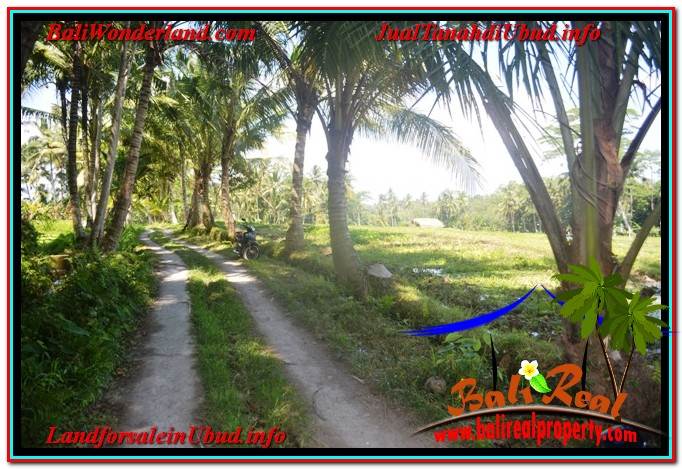 INVESTASI PROPERTY, JUAL TANAH MURAH di UBUD BALI TJUB630