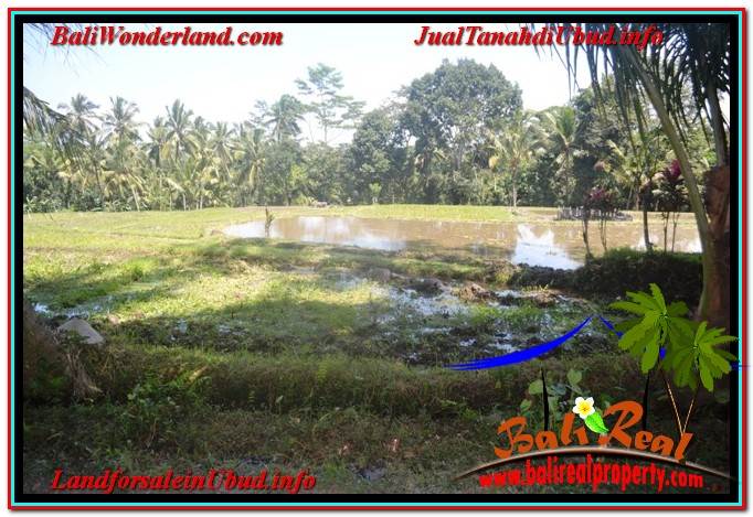 INVESTASI PROPERTY, JUAL TANAH MURAH di UBUD BALI TJUB630