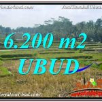 INVESTASI PROPERTY, JUAL TANAH di UBUD BALI TJUB631