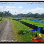 INVESTASI PROPERTY, JUAL TANAH di UBUD BALI TJUB631