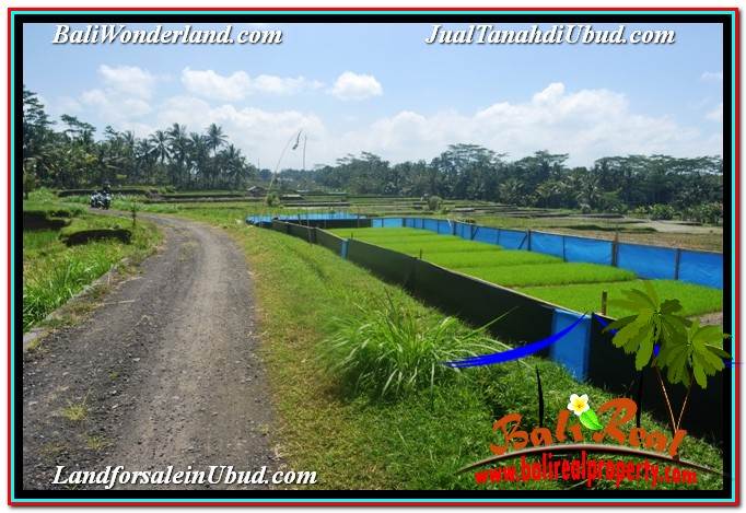 INVESTASI PROPERTY, JUAL TANAH di UBUD BALI TJUB631