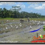 INVESTASI PROPERTY, JUAL TANAH di UBUD BALI TJUB631