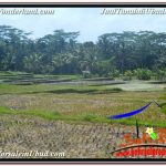 INVESTASI PROPERTY, JUAL TANAH di UBUD BALI TJUB631