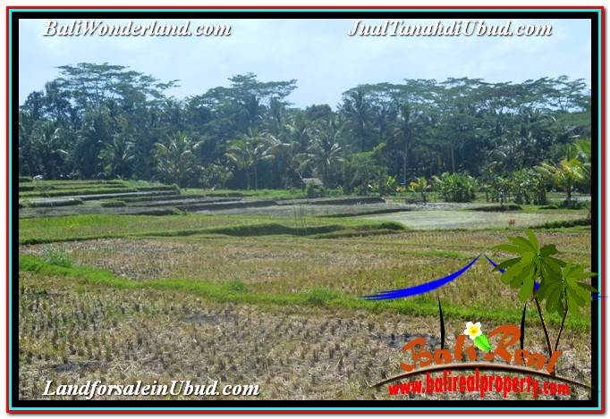 INVESTASI PROPERTY, JUAL TANAH di UBUD BALI TJUB631