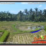 INVESTASI PROPERTY, JUAL TANAH di UBUD BALI TJUB631