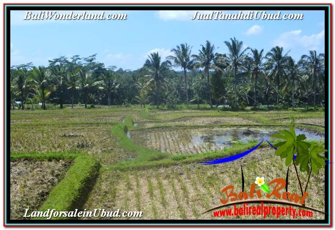 INVESTASI PROPERTY, JUAL TANAH di UBUD BALI TJUB631