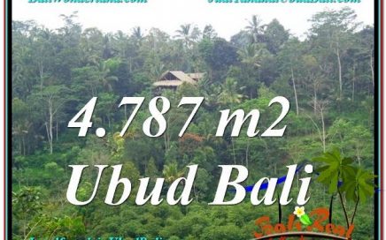 INVESTASI PROPERTY, TANAH di UBUD DIJUAL MURAH TJUB603