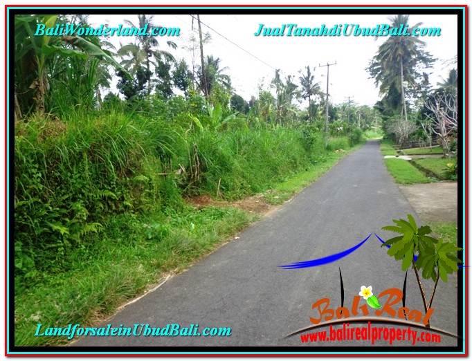 INVESTASI PROPERTY, TANAH di UBUD DIJUAL MURAH TJUB603