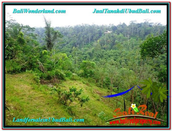 INVESTASI PROPERTY, TANAH di UBUD DIJUAL MURAH TJUB603