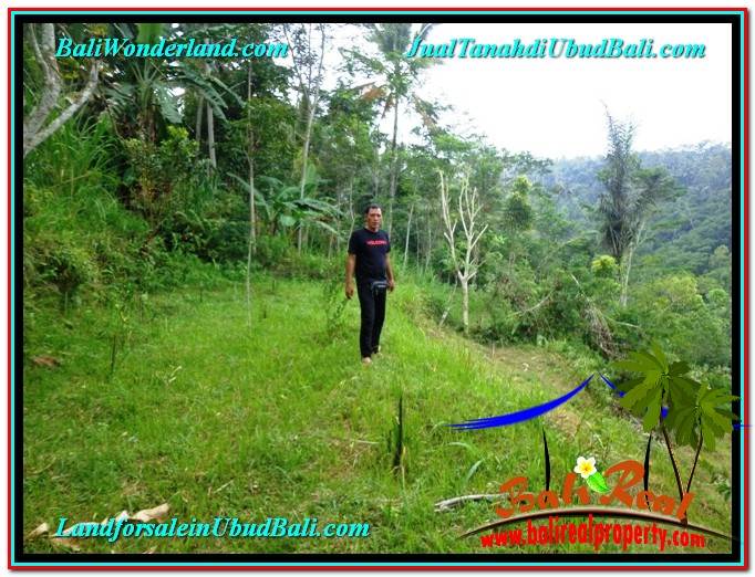 INVESTASI PROPERTY, TANAH di UBUD DIJUAL MURAH TJUB603